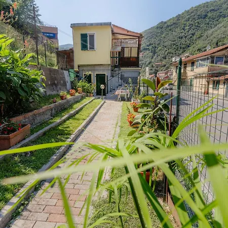 House With Garden, Two Recco