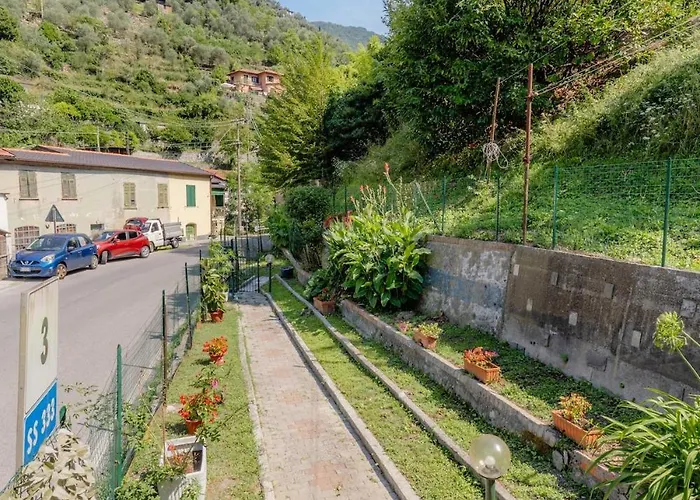 House With Garden, Two